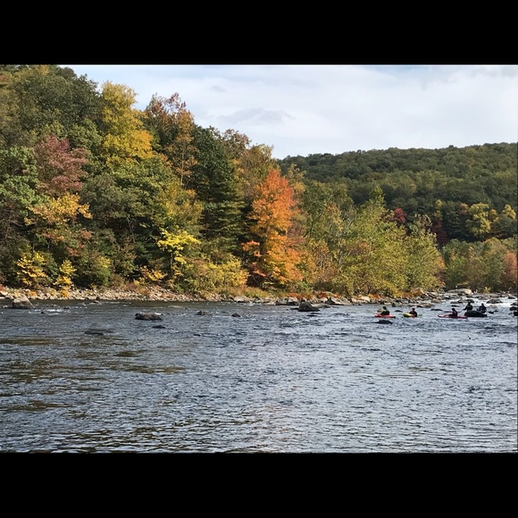 Meet your Posher, Justine - Picture 1 of 1